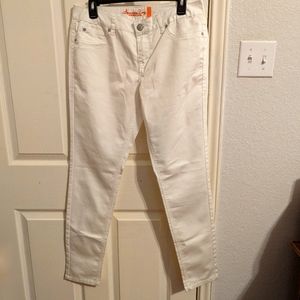 American Rag Women's Pants